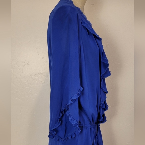Vibrant Blue Ruffle Dress - Picture 4 of 5